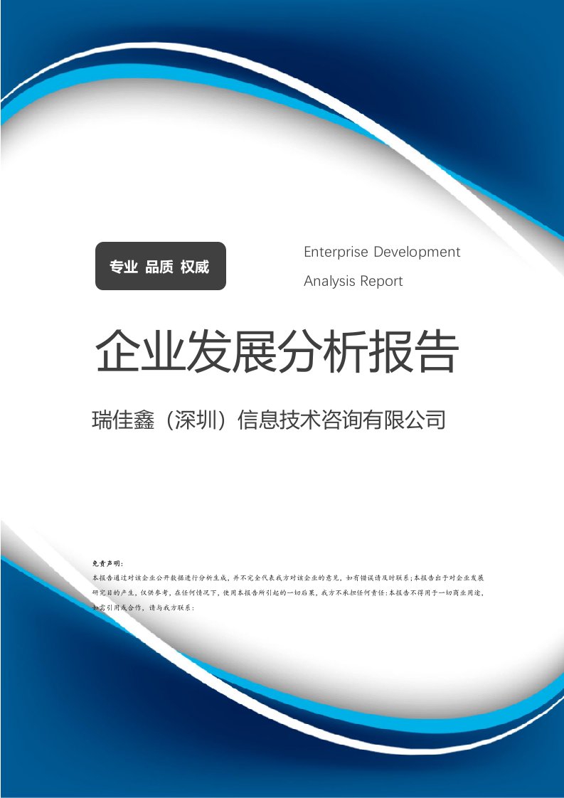 瑞佳鑫(深圳)信息技術咨詢發展分析報告